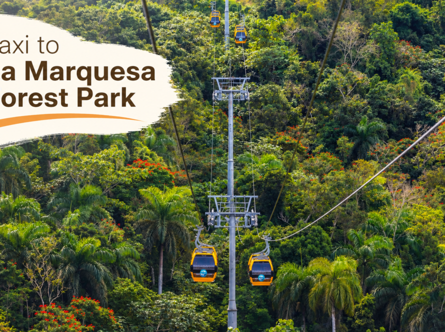 Taxi to La Marquesa Forest Park from San Juan Puerto Rico