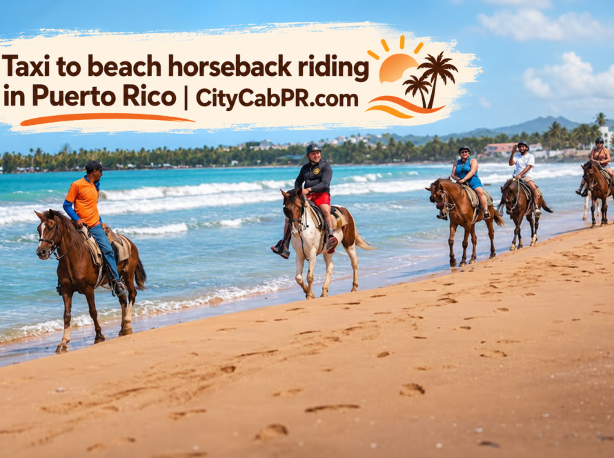 Taxi to beach horseback riding in Puerto Rico from San Juan
