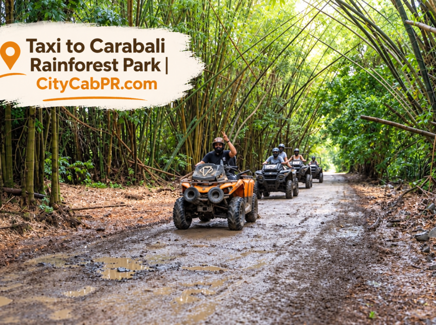 Taxi to Carabalí Rainforest Park from San Juan Puerto Rico