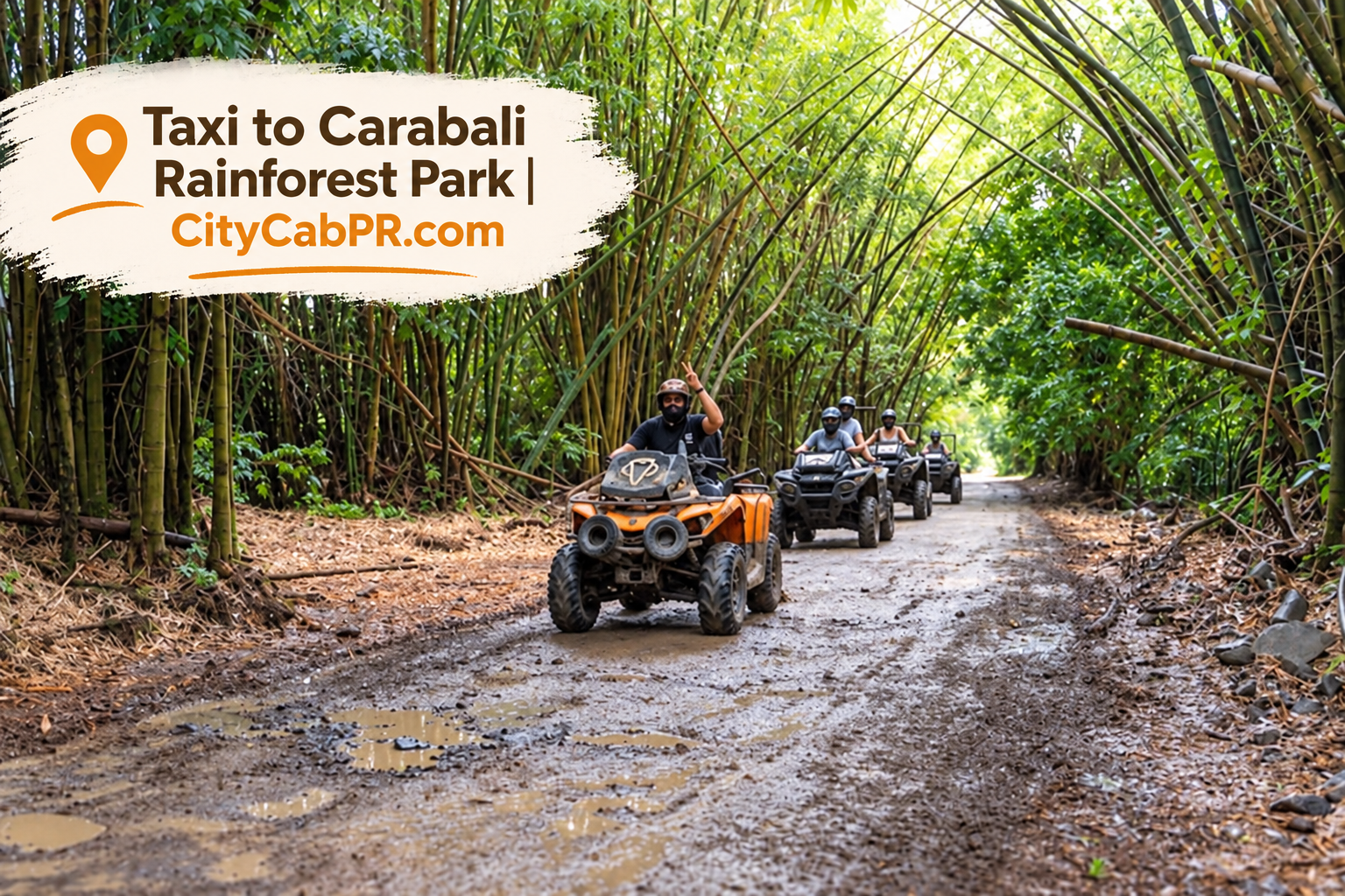 Taxi to Carabalí Rainforest Park from San Juan Puerto Rico