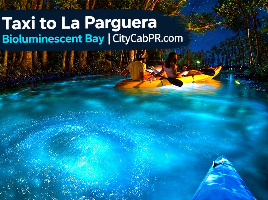 Taxi to La Parguera Bioluminescent Bay from San Juan Puerto Rico