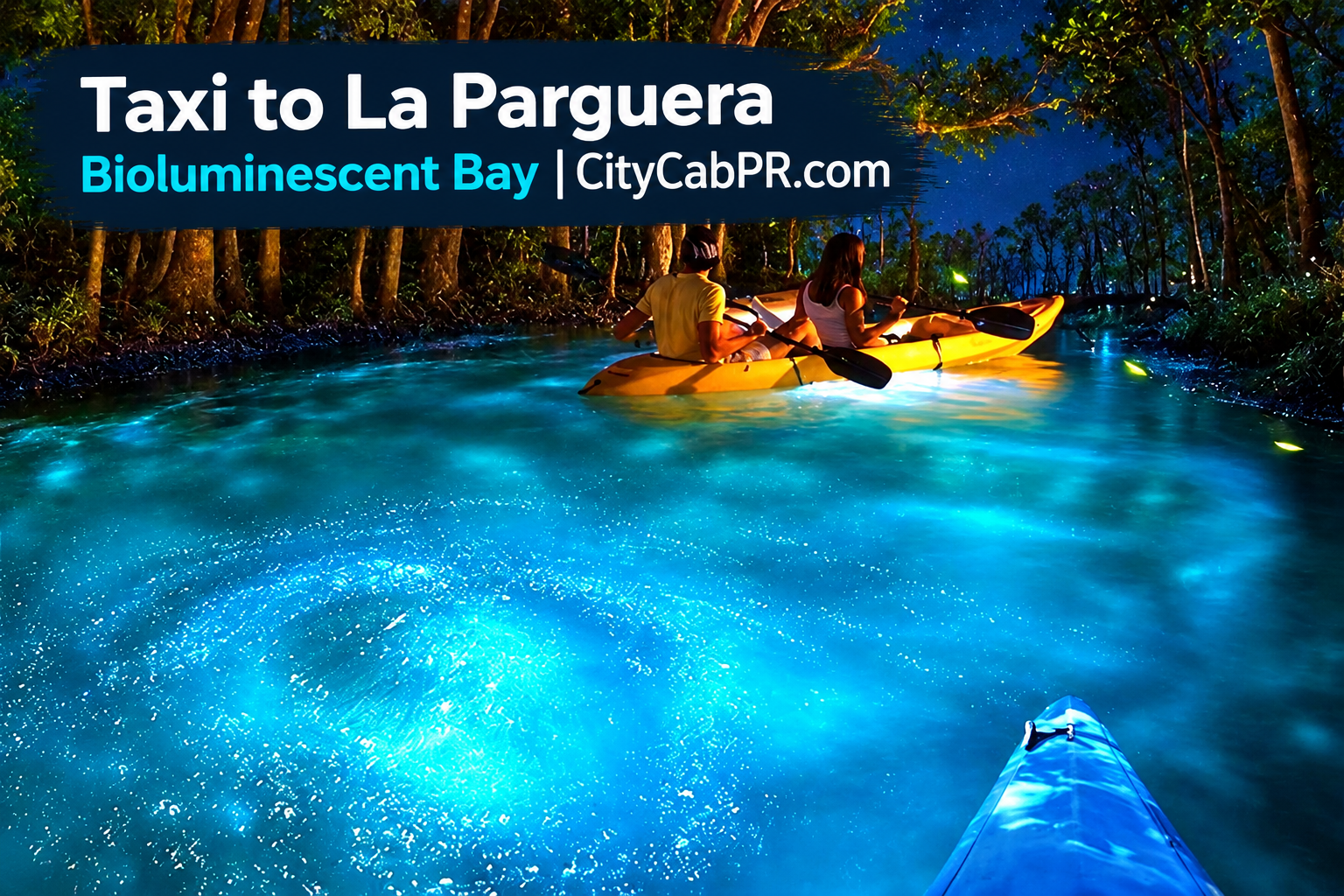 Taxi to La Parguera Bioluminescent Bay from San Juan Puerto Rico
